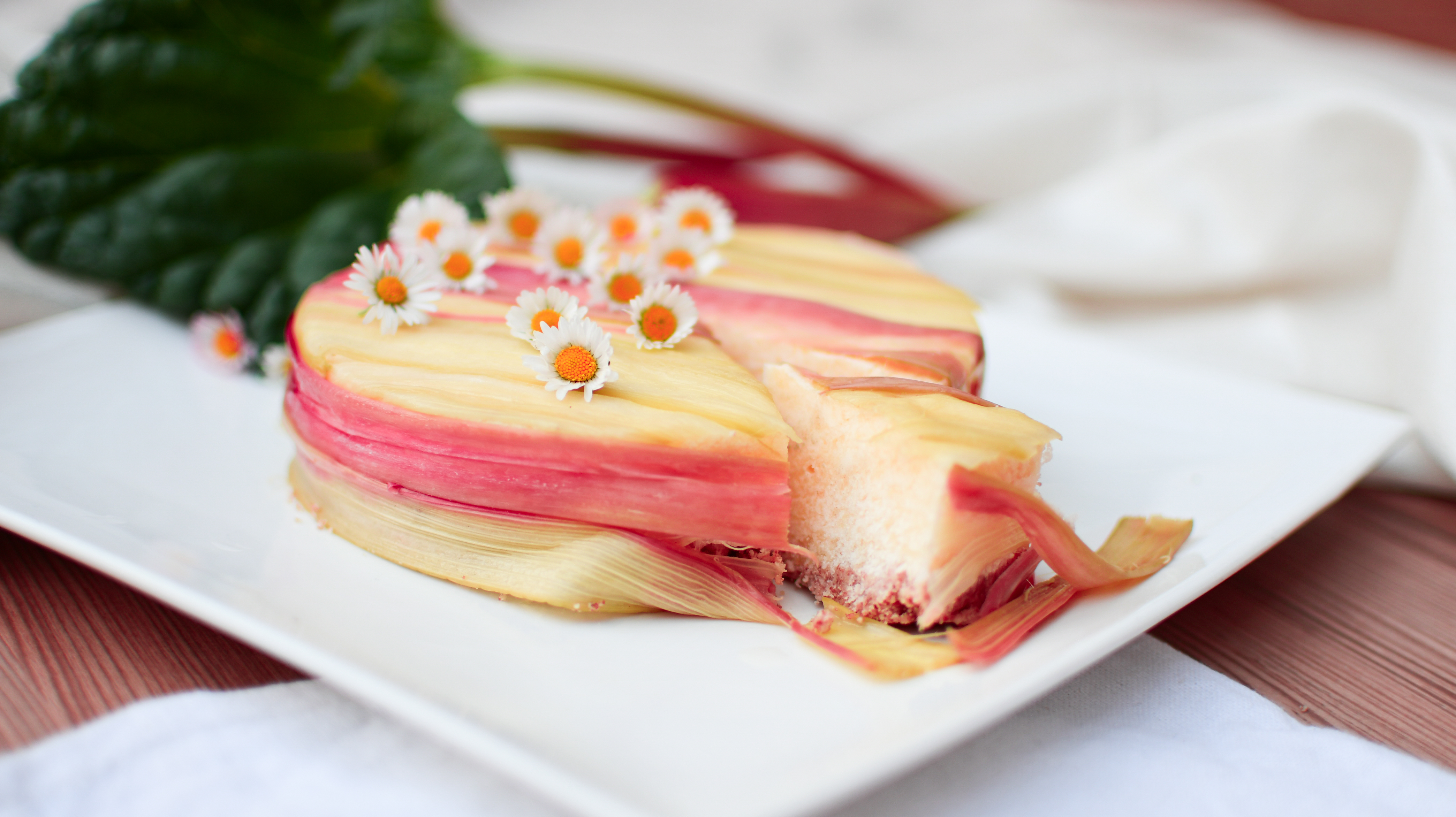 Wrapped Rhubarb Cheesecake