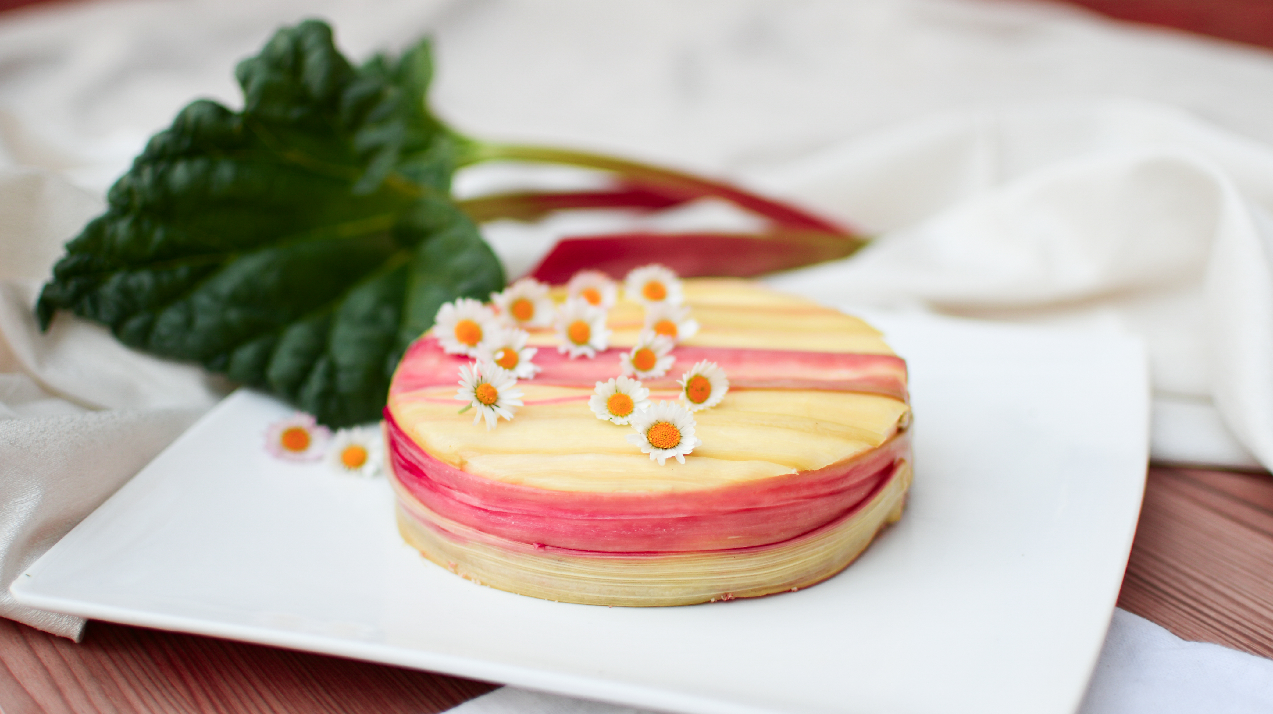 Wrapped Rhubarb Cheesecake 